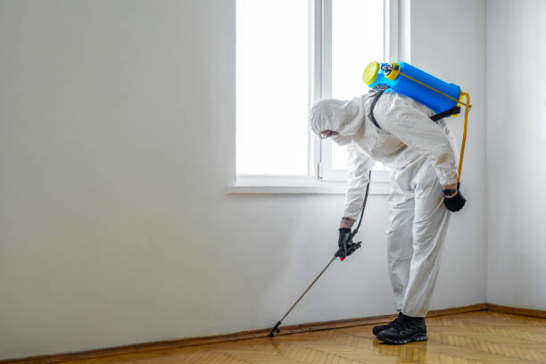 Pest Control for Warehouses in Royal Oak, MI